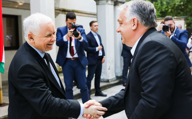 Jarosław Kaczyński spotkał się w Warszawie z Viktorem Orbanem