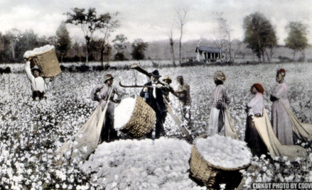 Niewolnictwo  w Brazylii zniesiono dopiero w 1888 roku, znacznie później niż w USA