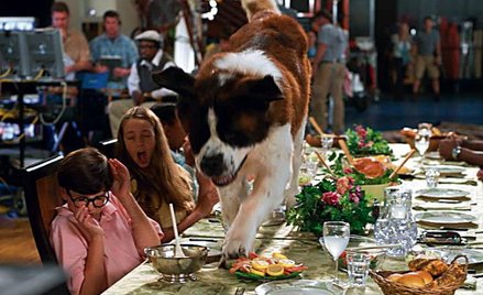 Beethoven 6: Wielka ucieczka