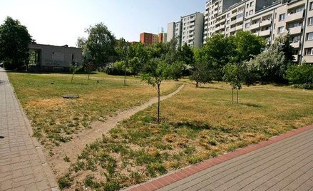 Kto w urzędzie może wypowiadać opłaty roczne za użytkowanie wieczyste?