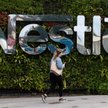 Nestle i inne firmy wycofują reklamy z YouTube. Powodem pedofilskie treści w serwisie