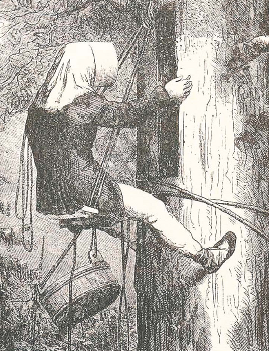 Prawo bartne było skierowane do bartników, regulowało zależności pomiędzy nimi oraz pomiędzy bartnik