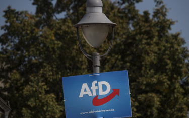 AfD zatrzęsie Niemcami, ale nie zyska władzy w landach