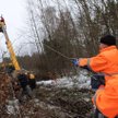 Połamane drzewa i gałęzie uszkodziły linie energetyczne na terenie całego kraju.