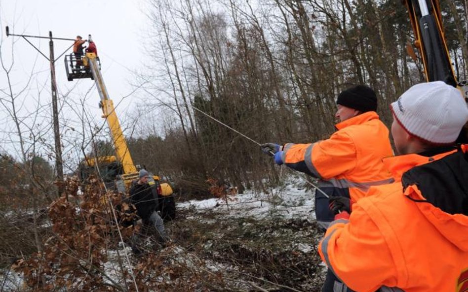 Połamane drzewa i gałęzie uszkodziły linie energetyczne na terenie całego kraju.