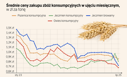 Jak dobre zbiory wpłyną na ceny żywności? Taniej raczej nie będzie