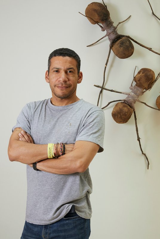 Rafael Gomezbarros i jego mrówki w amsterdamskim Rijksmuseum.