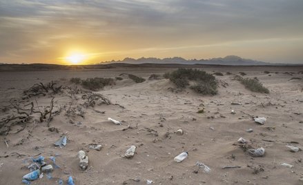 Ustawa o utrzymaniu czystości i porządku w gminach - Urząd Miejski w Helu nie przyjął 900 kg odpadów