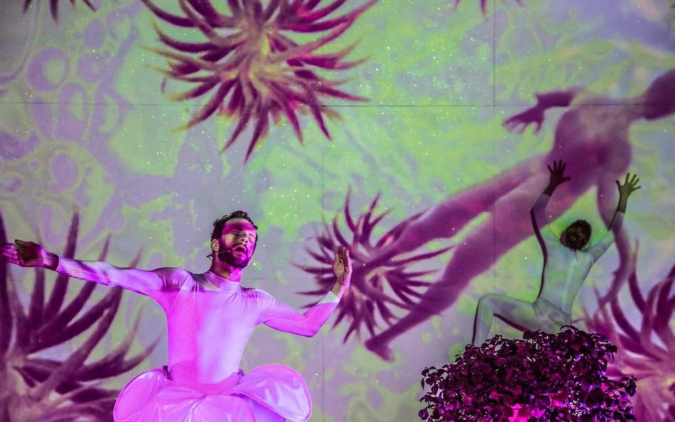 „Raj. Tutorial” Jędrzeja Piaskowskiego.