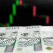 Złoty cierpi przez Adama Glapińskiego