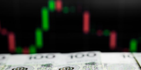 Złoty cierpi przez Adama Glapińskiego