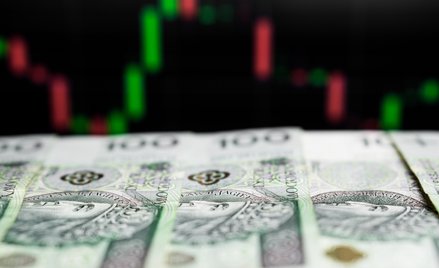 Złoty cierpi przez Adama Glapińskiego