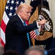 Trump zatopił ceny miedzi. Największy spadek od pandemii