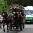 Konie do Morskiego Oka przeszły badania. Nie wszystkie zostały dopuszczone do pracy