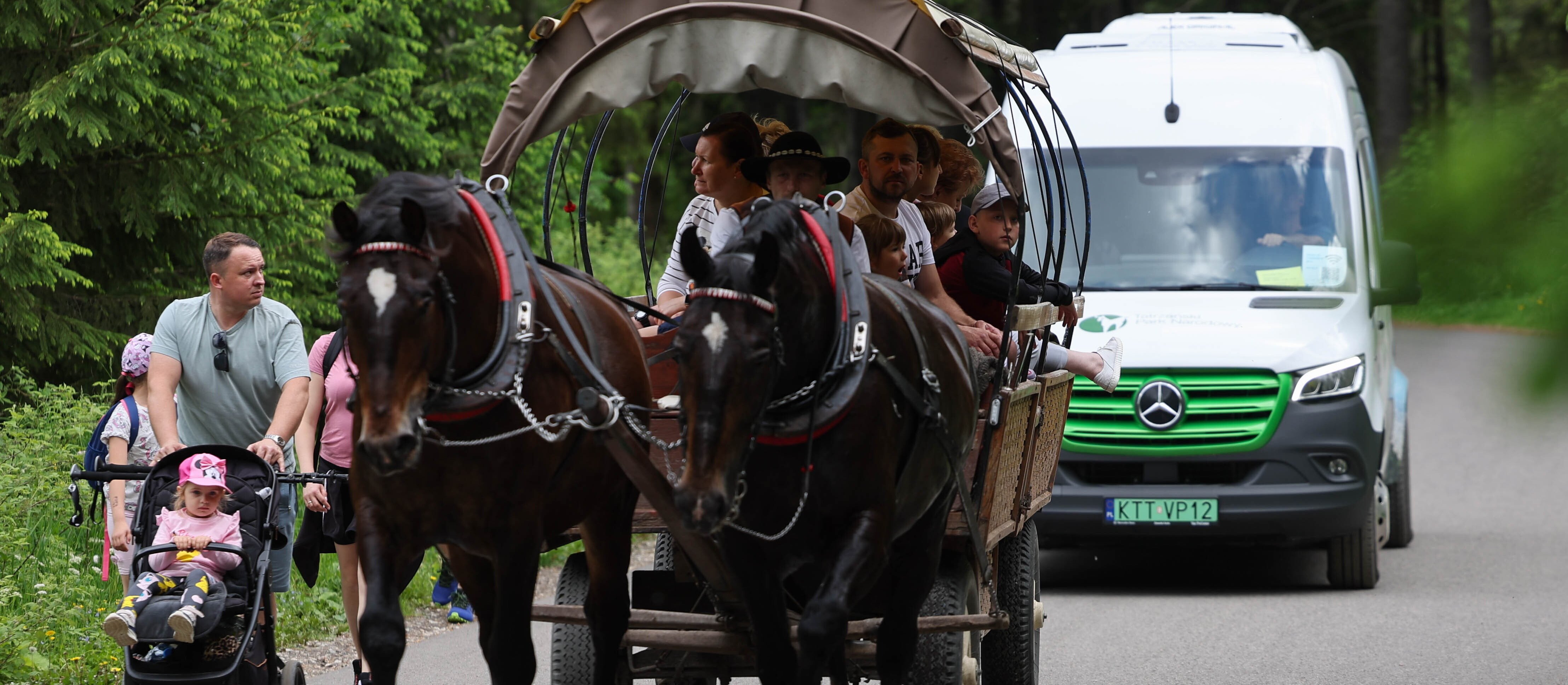 Konie do Morskiego Oka przeszły badania. Nie wszystkie zostały dopuszczone do pracy