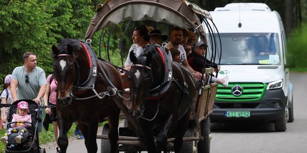 Badania koni do Morskiego Oka zakończone – trzy zwierzęta bez dopuszczenia do pracy