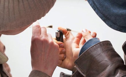 Na rynku pojawiły się mocne odmiany marihuany, które zawierają nawet 30 proc. substancji psychoaktyw