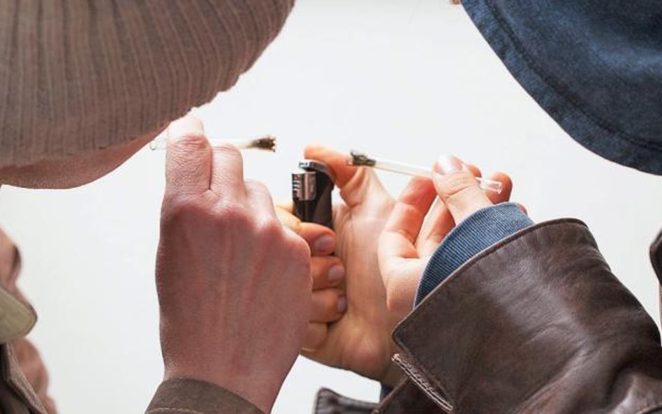 Na rynku pojawiły się mocne odmiany marihuany, które zawierają nawet 30 proc. substancji psychoaktyw
