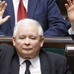 Widmo tyranii większości