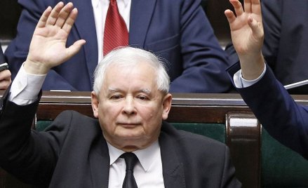 Widmo tyranii większości