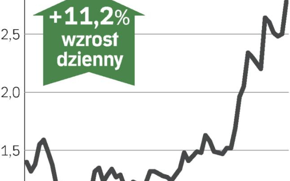 Kurs w górę po zapowiedzi emisji