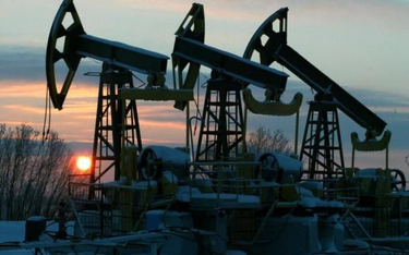 Eksport ropy rozkręcił pompy w Ameryce