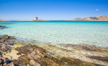 Sardynia: Ukradli piasek z plaży. Mogą na sześć lat trafić do więzienia