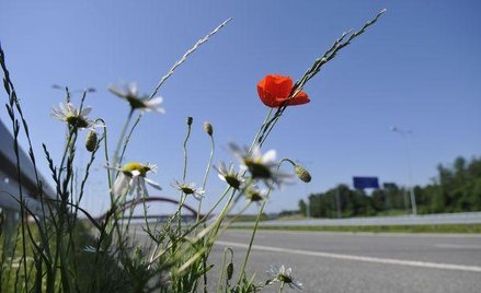 VAT tylko od drogi na działce dewelopera