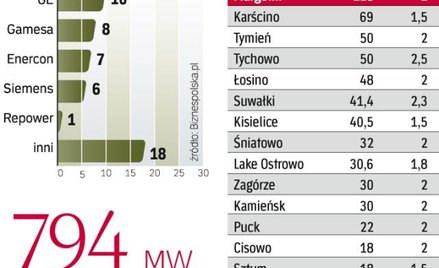 Polski rynek będzie atrakcyjny dla producentów turbin. Udziały w nim podzielili między siebie produc
