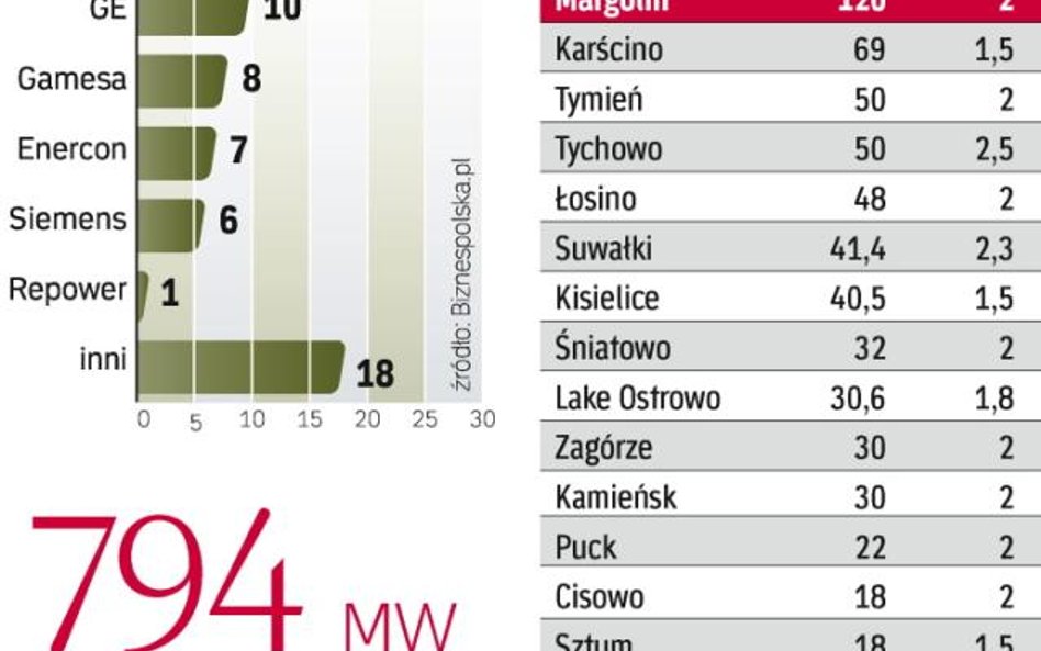 Polski rynek będzie atrakcyjny dla producentów turbin. Udziały w nim podzielili między siebie produc