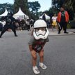 Międzynarodowy Dzień Star Wars