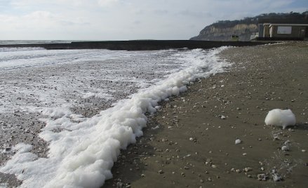 Piana morska na brytyjskiej wyspie Wight na Kanale La Manche.