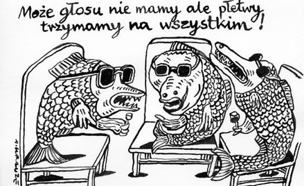 Komentarz rysunkowy. Może głosu nie mamy