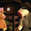 Familijne: Krowy na wypasie
