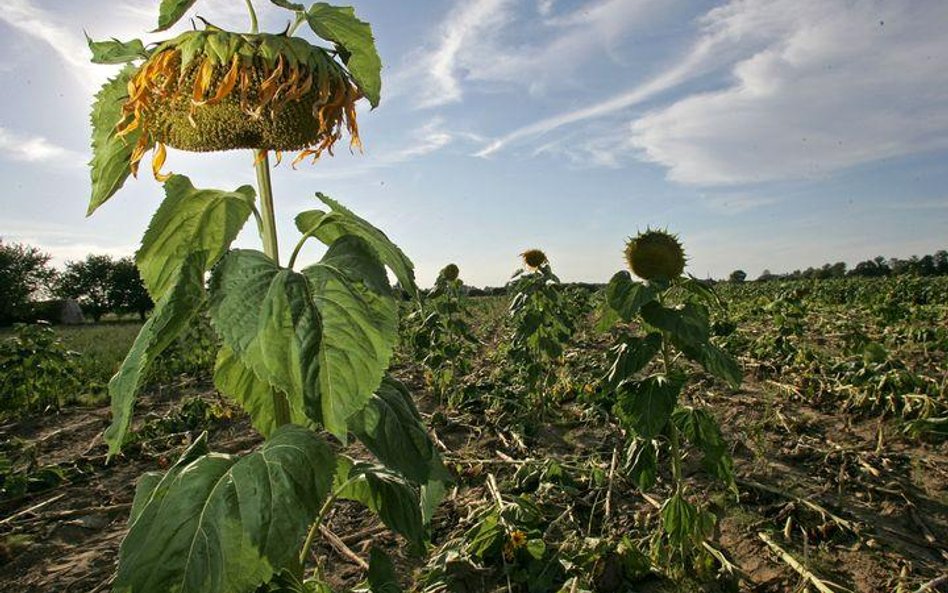 Rusza nabór wniosków o odszkodowania za klęski żywiołowe