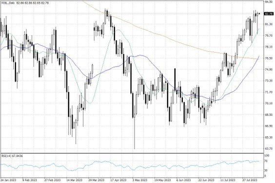 Notowania ropy naftowej WTI – dane dzienne