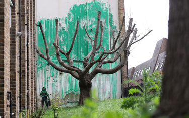 Nowa praca Banksy'ego znajduje się w londyńskiej dzielnicy Finsbury Park.