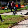 Porozumienia rodziców dotyczące dzieci, zwłaszcza ustalenia kontaktów, nabierają coraz większego zna
