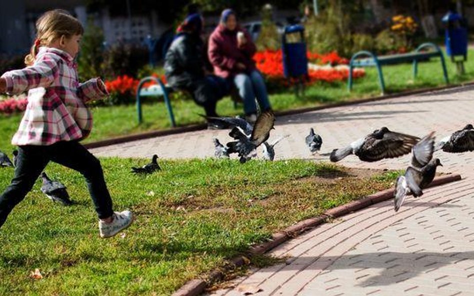 Porozumienia rodziców dotyczące dzieci, zwłaszcza ustalenia kontaktów, nabierają coraz większego zna