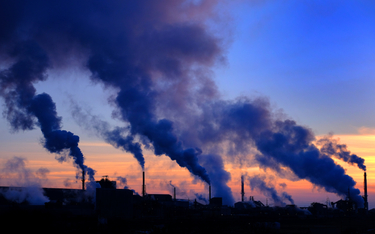 Polski rząd dystansuje się od poparcia redukcji emisji CO2