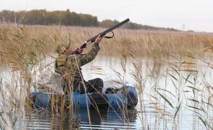 Według ekologów ustawa pisana w resorcie środowiska „odda w ręce myśliwych absurdalnie szeroki zakre