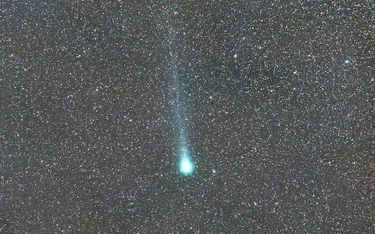 Alkoholowa kometa była doskonale widoczna na niebie