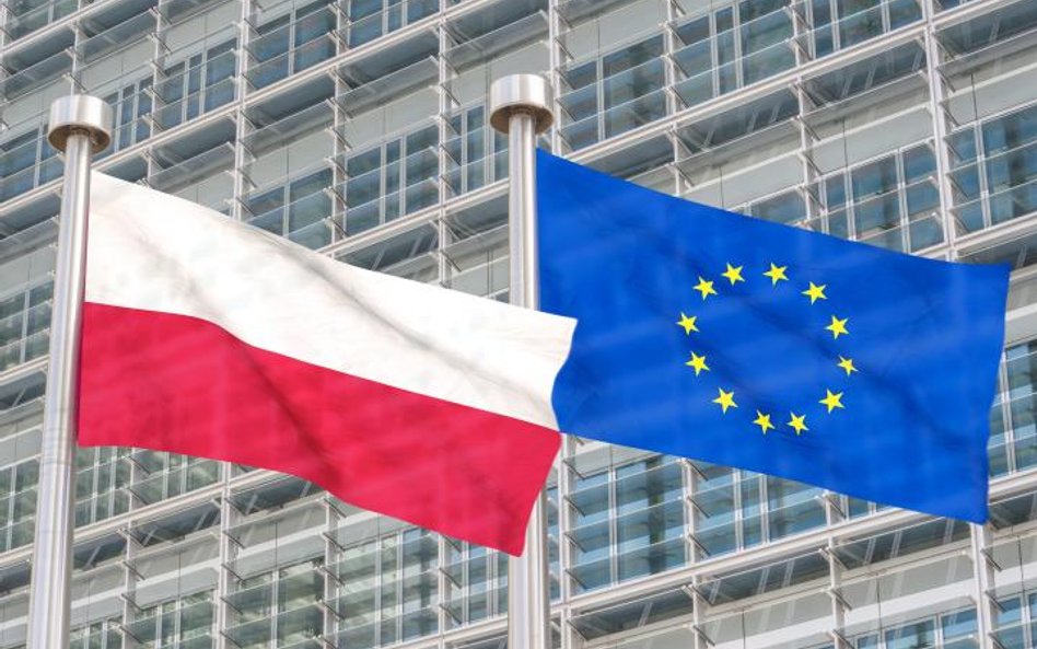 W tej kampanii tematów krajowych było więcej niż europejskich