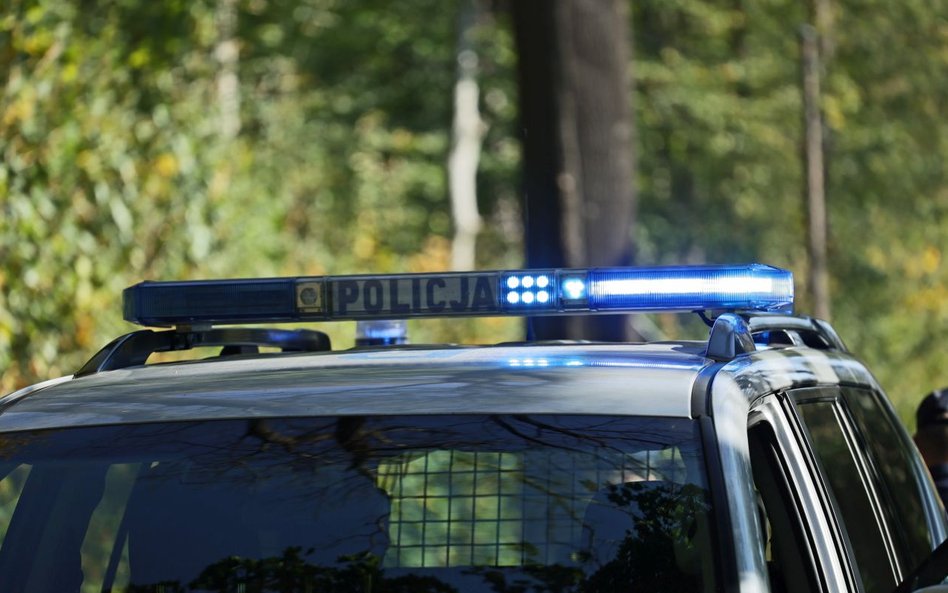Child Alert odwołany. Jedenastoletnia Wiktoria z Sosnowca odnaleziona