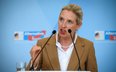 Alice Weidel
