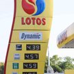 Giełda lekko w dół