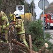 Na początku tego tygodnia obowiązuje kolejny alert RCB o silnych porywach wiatru, który znów przyczy