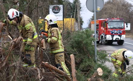Na początku tego tygodnia obowiązuje kolejny alert RCB o silnych porywach wiatru, który znów przyczy