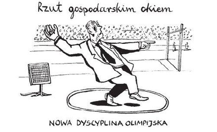 Komentarz rysunkowy. Rzut okiem