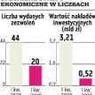 Jaki ratunek od rządu?